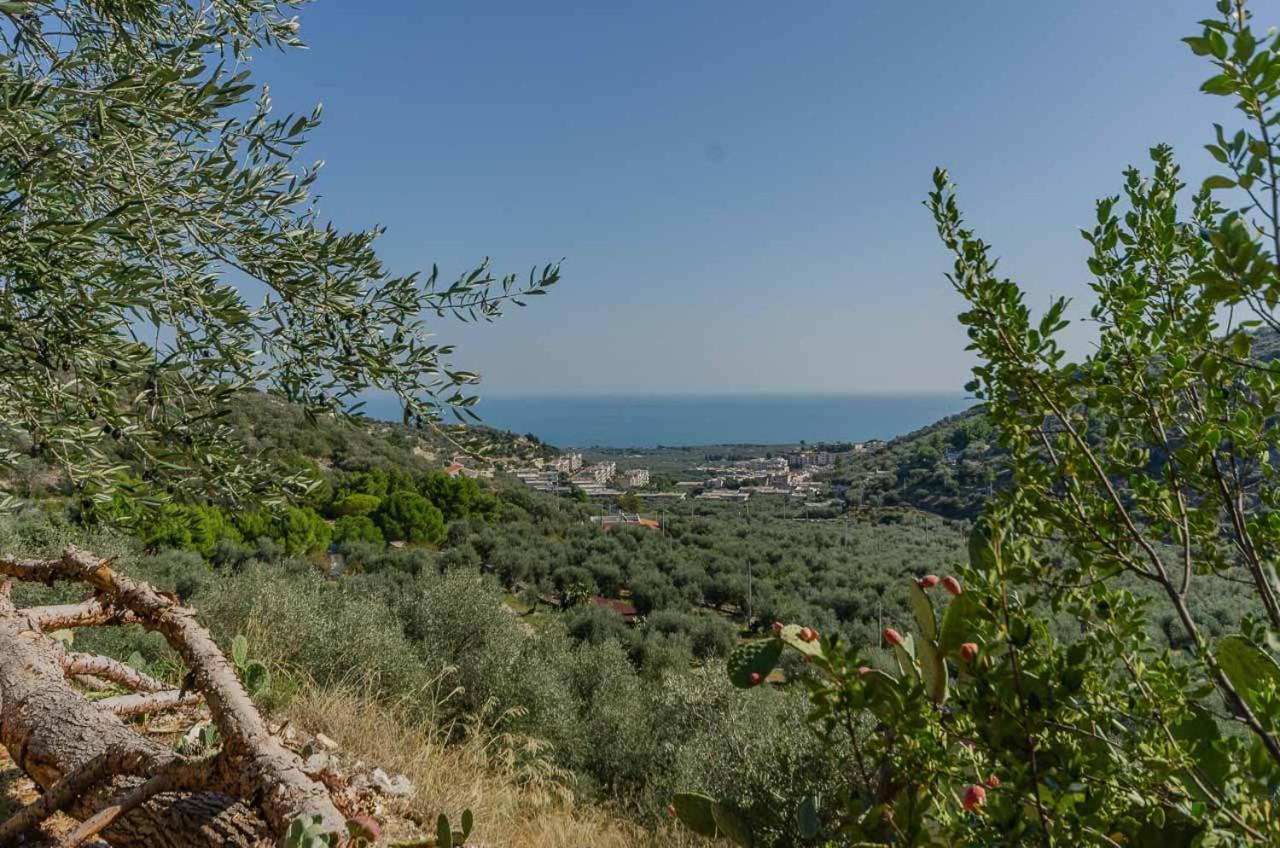 Madonna Incoronata Agroturismo Mattinata