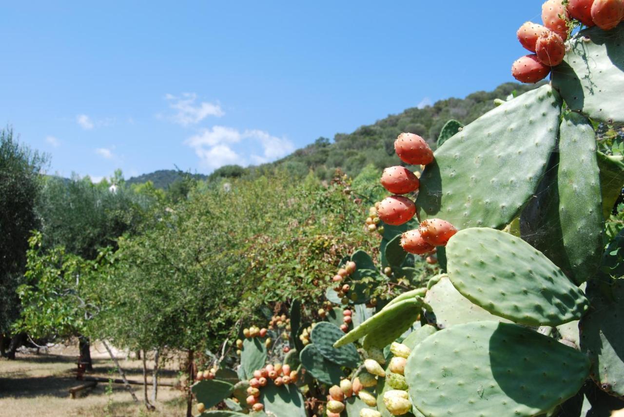 Farm stay Madonna Incoronata