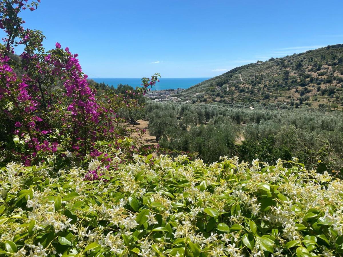 Madonna Incoronata Farm stay
