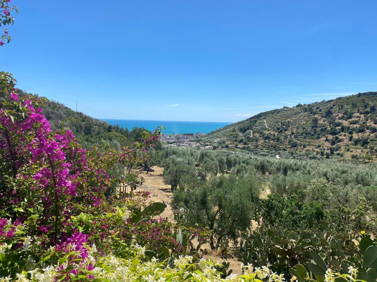 Farm stay Madonna Incoronata *